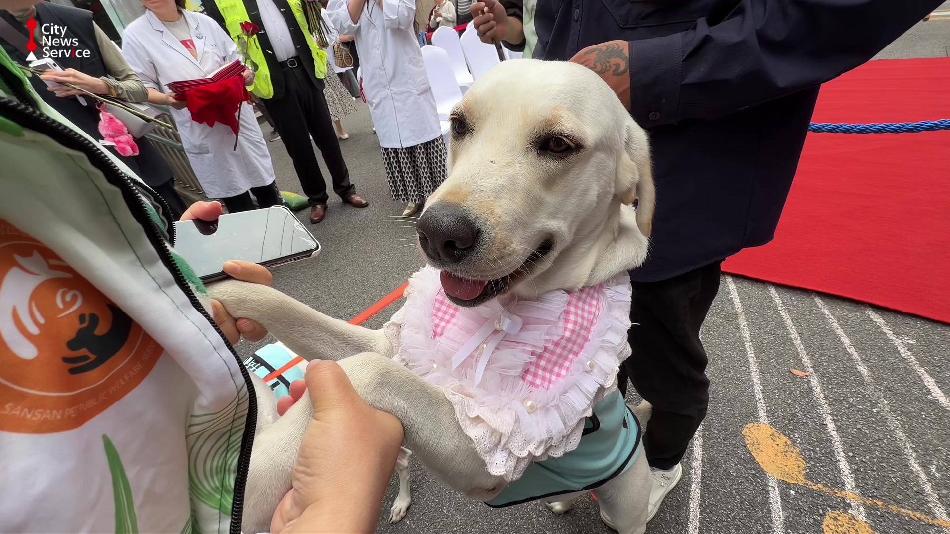 Therapy Dogs Bring Comfort and Joy to Autistic Teens
